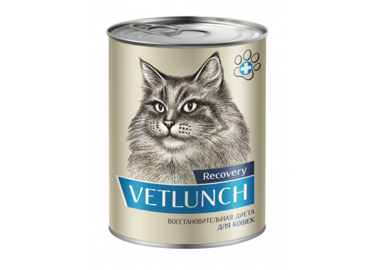 Vetlunch Recovery для кошек Восстановительная диета - фото