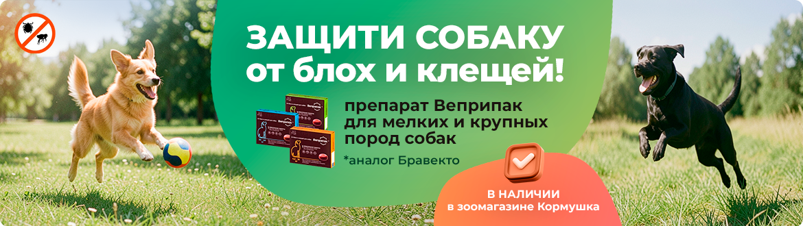 Защити собаку от блох и клещей